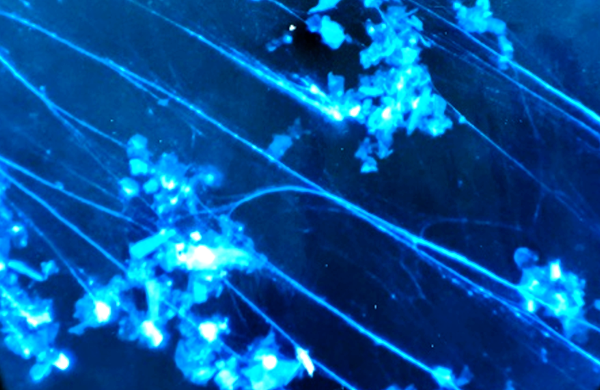 教育学科ニュース②